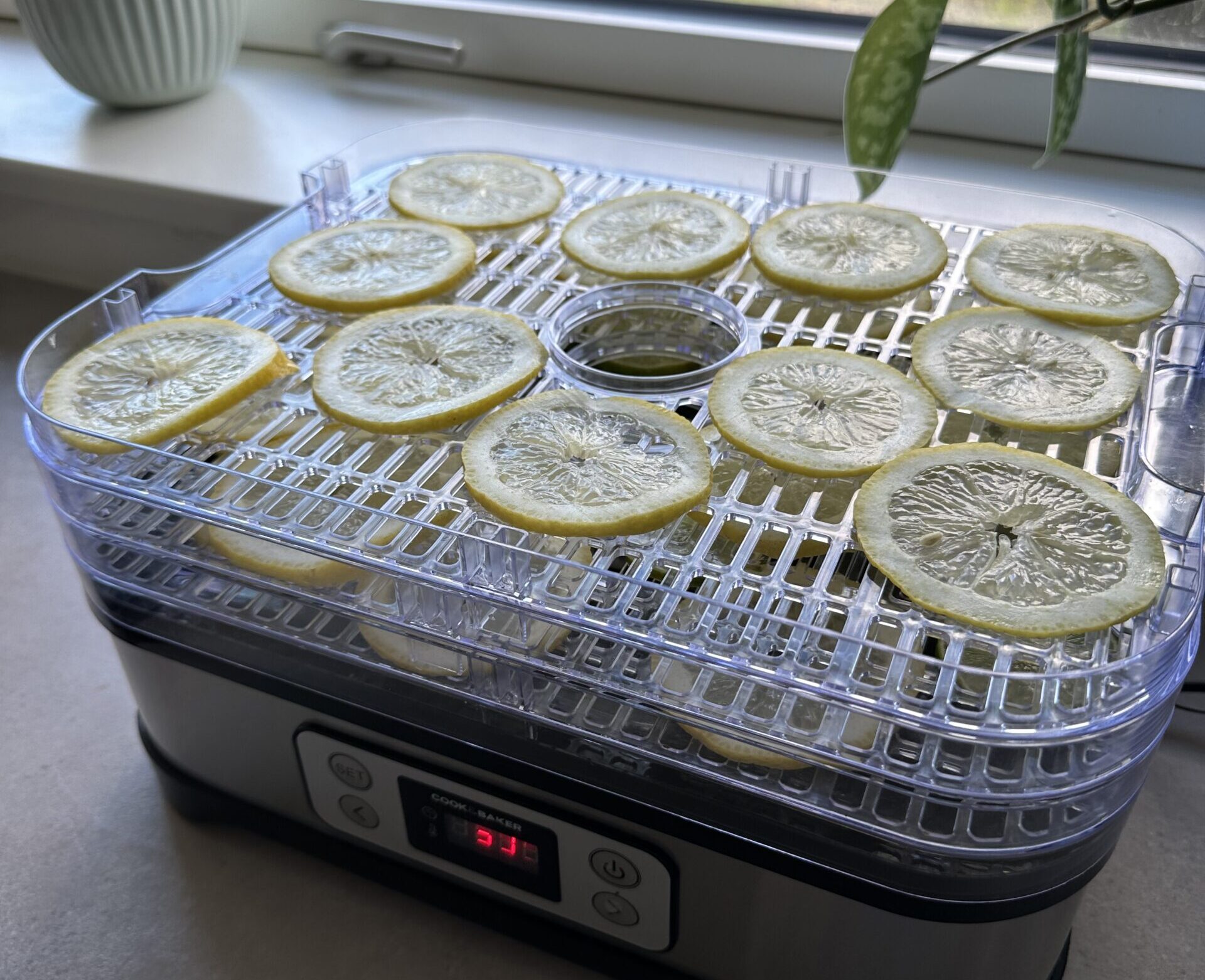 Dehydrerede citrusfrugter